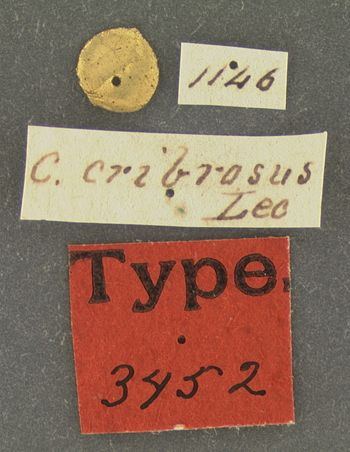 Media type: image;   Entomology 3452 Aspect: labels